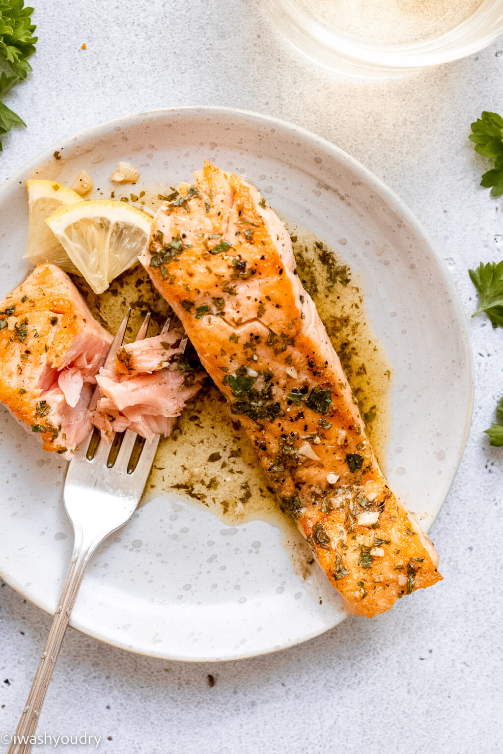 Lemon Garlic Pan Seared Salmon - I Wash You Dry