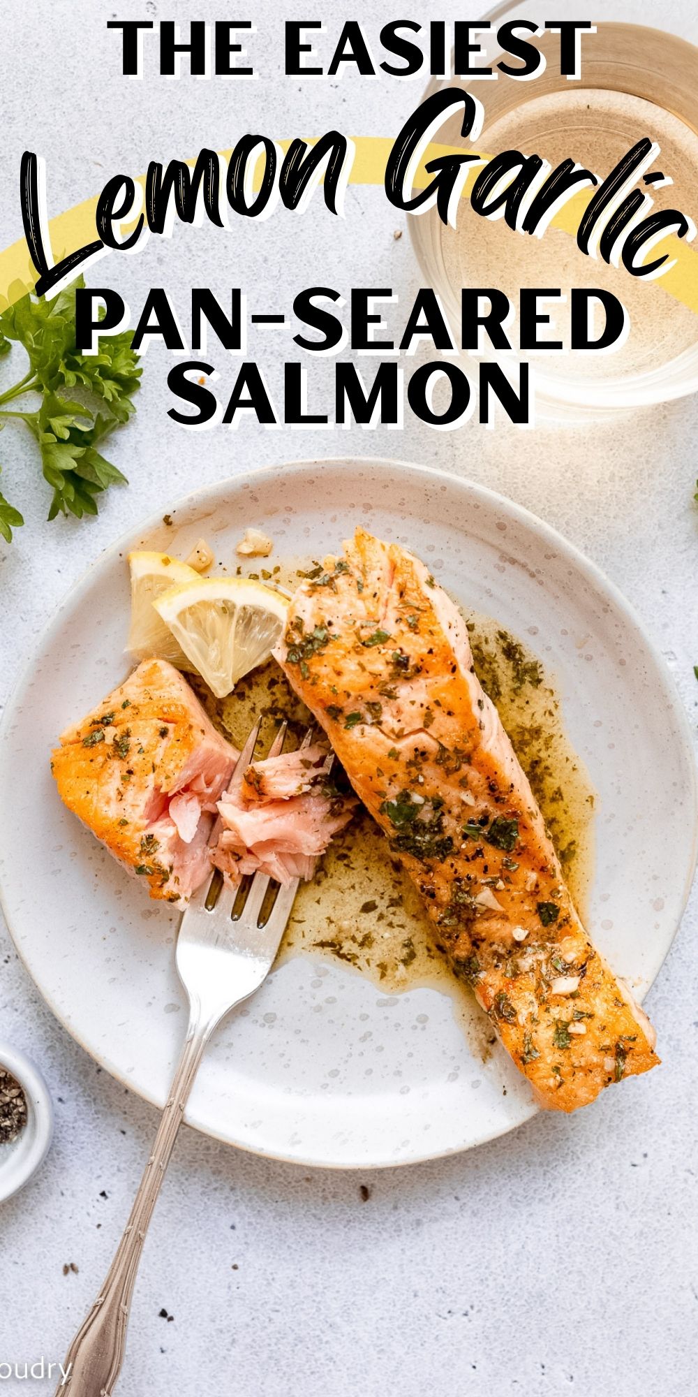 Lemon Garlic Pan Seared Salmon - I Wash You Dry