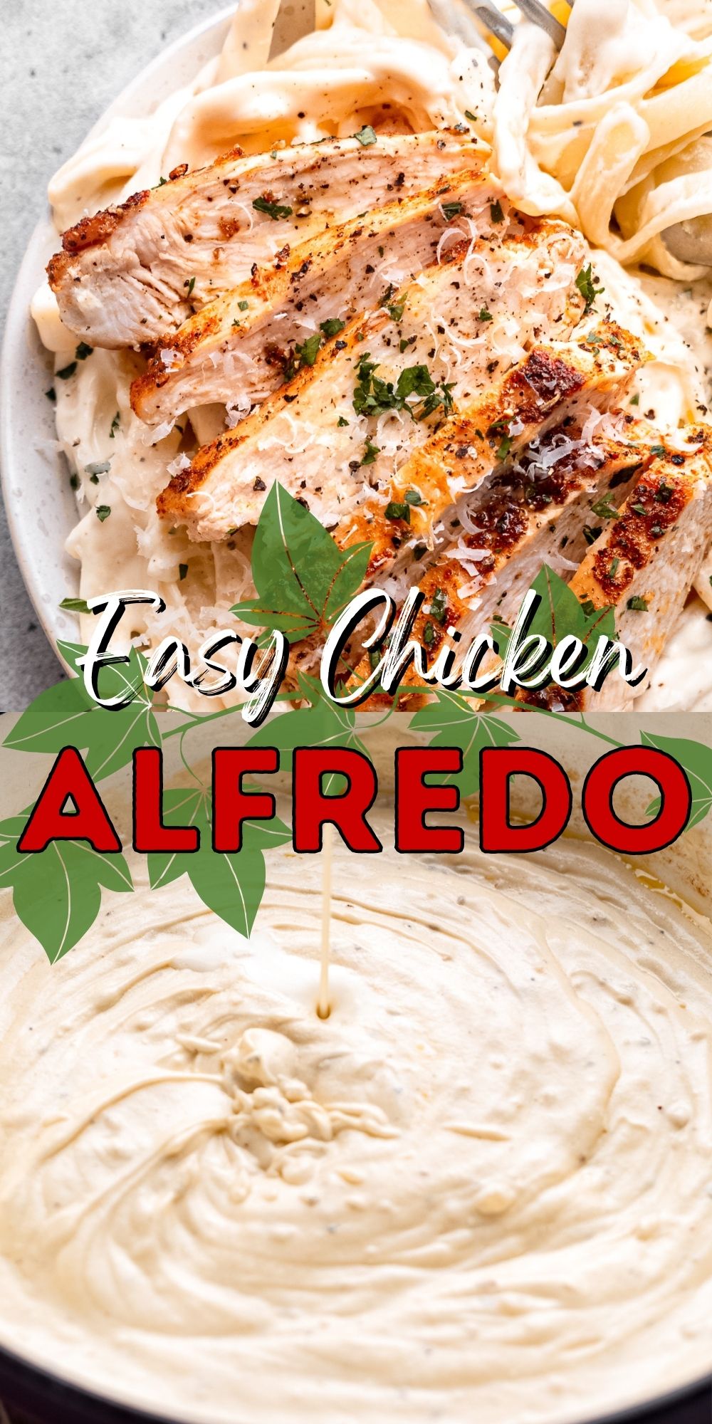 Chicken Alfredo Recipe - I Wash You Dry