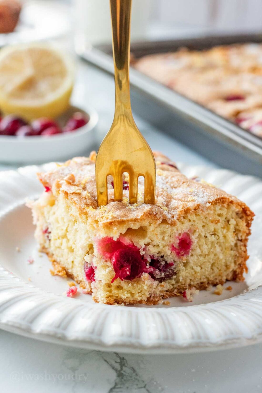 Slice of baked cranberry buttermilk cake on white plate with gold fork in it. 
