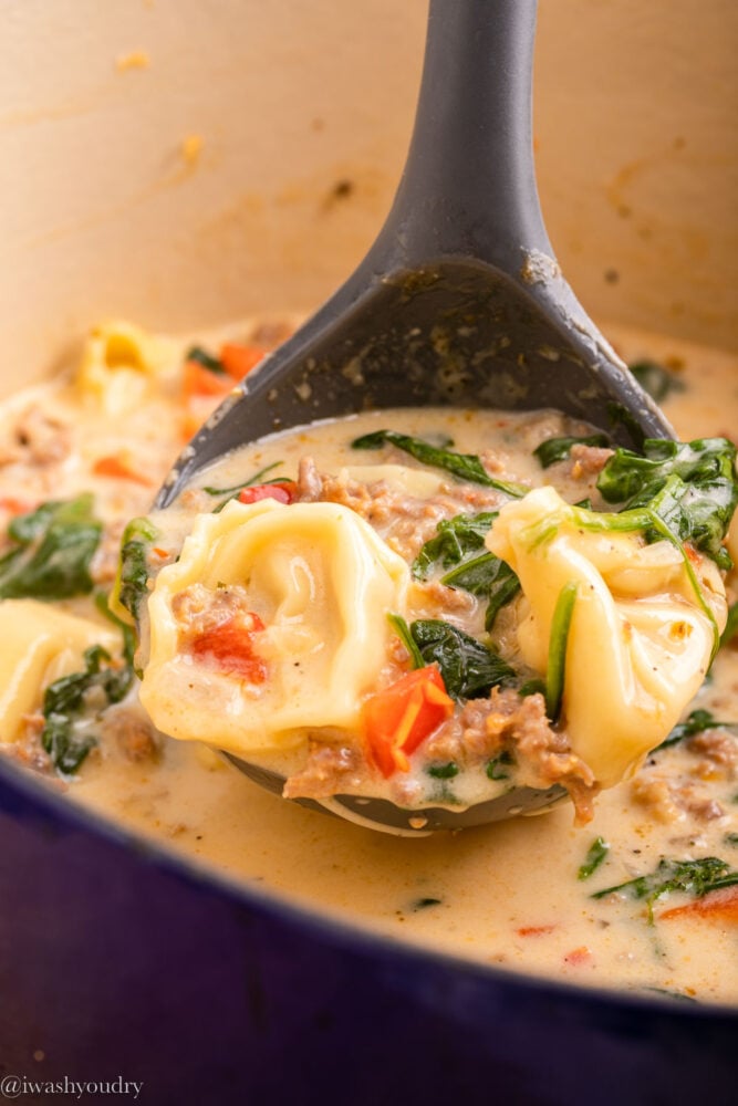 spoonful of tortellini soup with spinach and peppers.