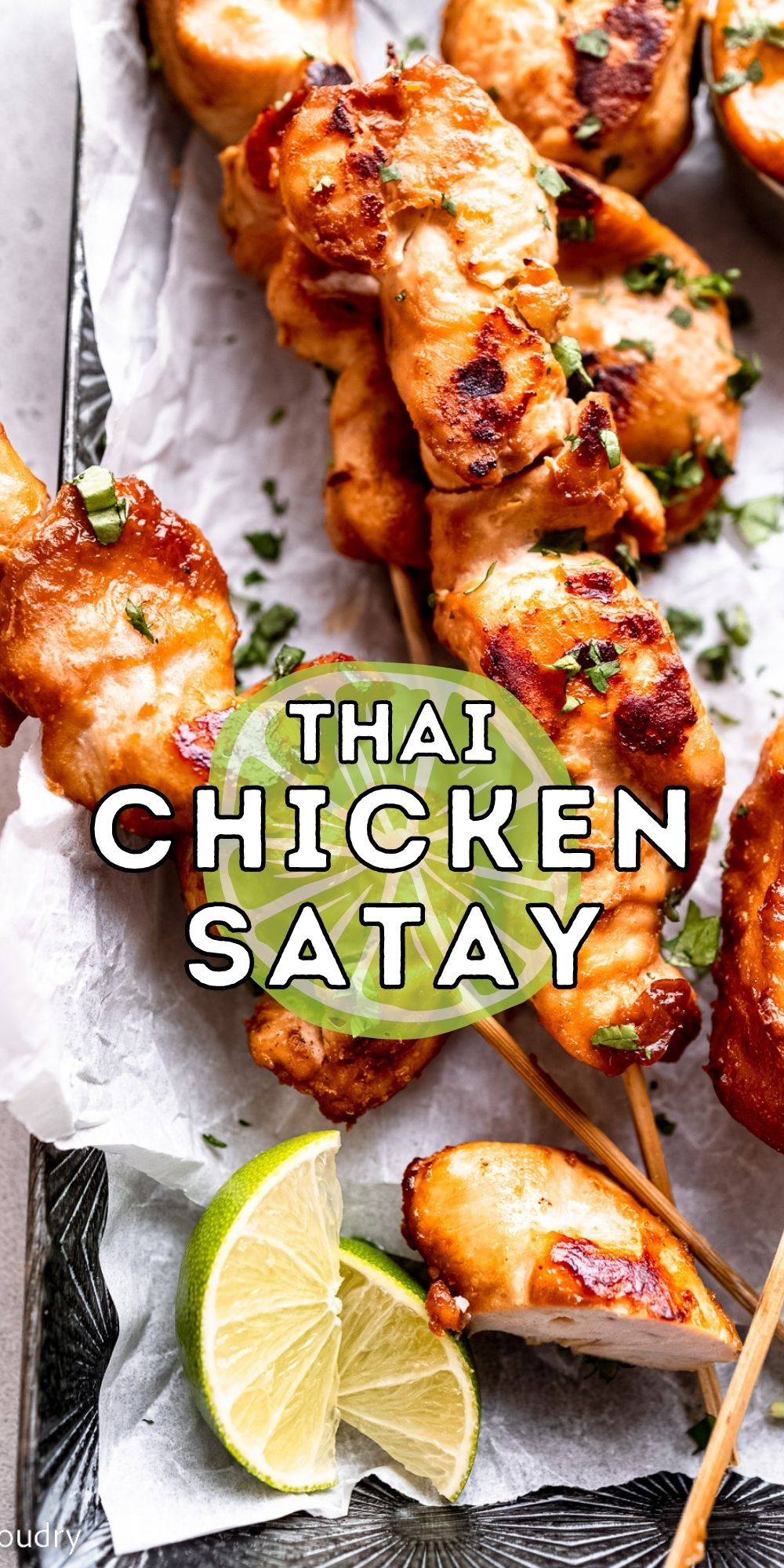 Thai Chicken Satay - I Wash You Dry