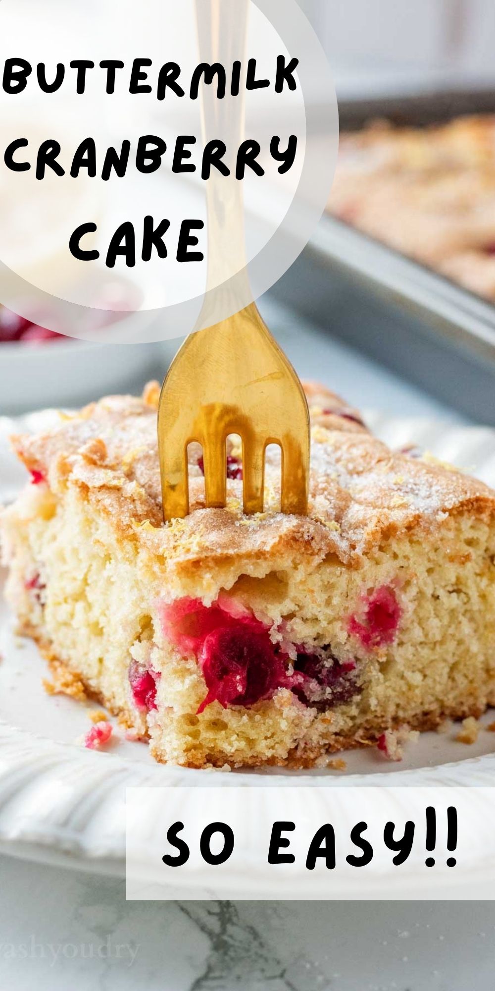Buttermilk Cranberry Cake I Wash You Dry
