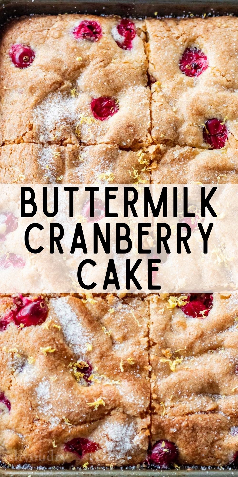 Buttermilk Cranberry Cake I Wash You Dry