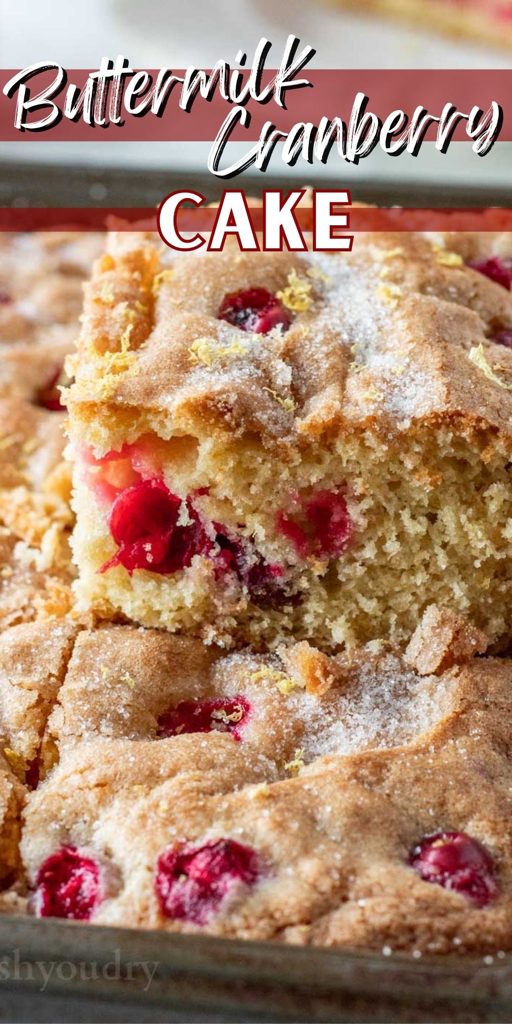 Buttermilk Cranberry Cake I Wash You Dry