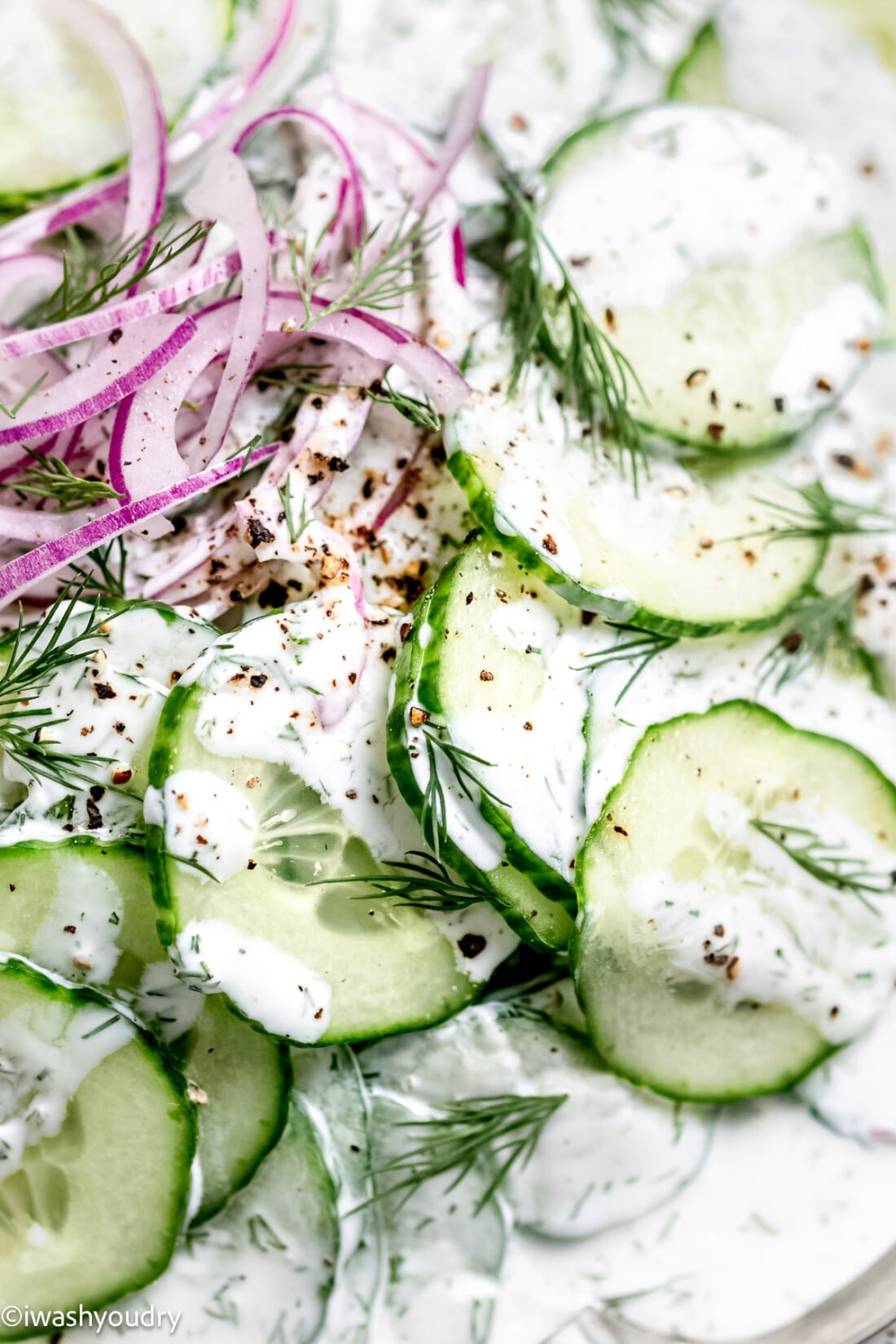 Fresh dill on top of white dressing over cucumbers and purple onions. 