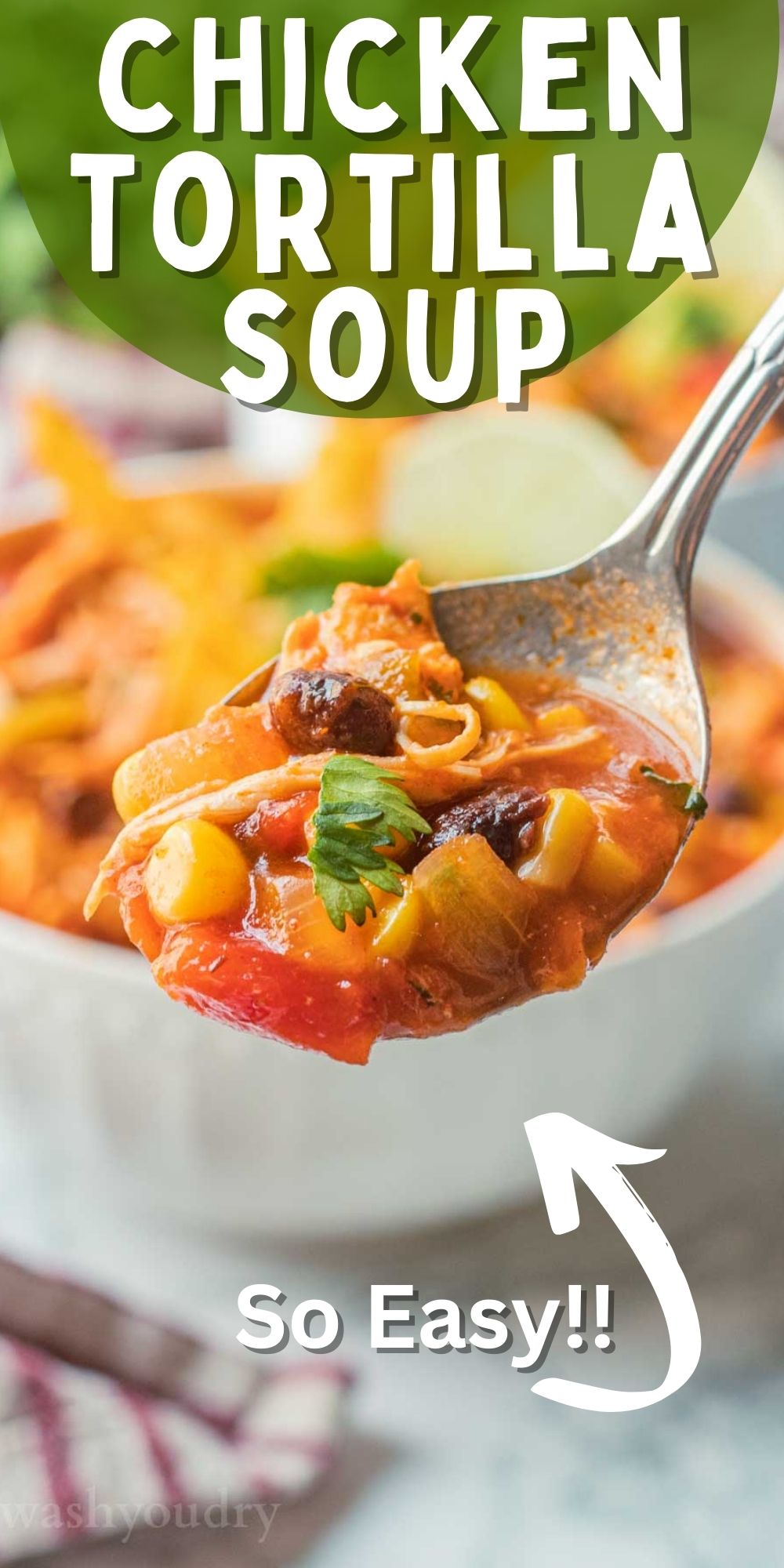 Easy Chicken Tortilla Soup - I Wash You Dry