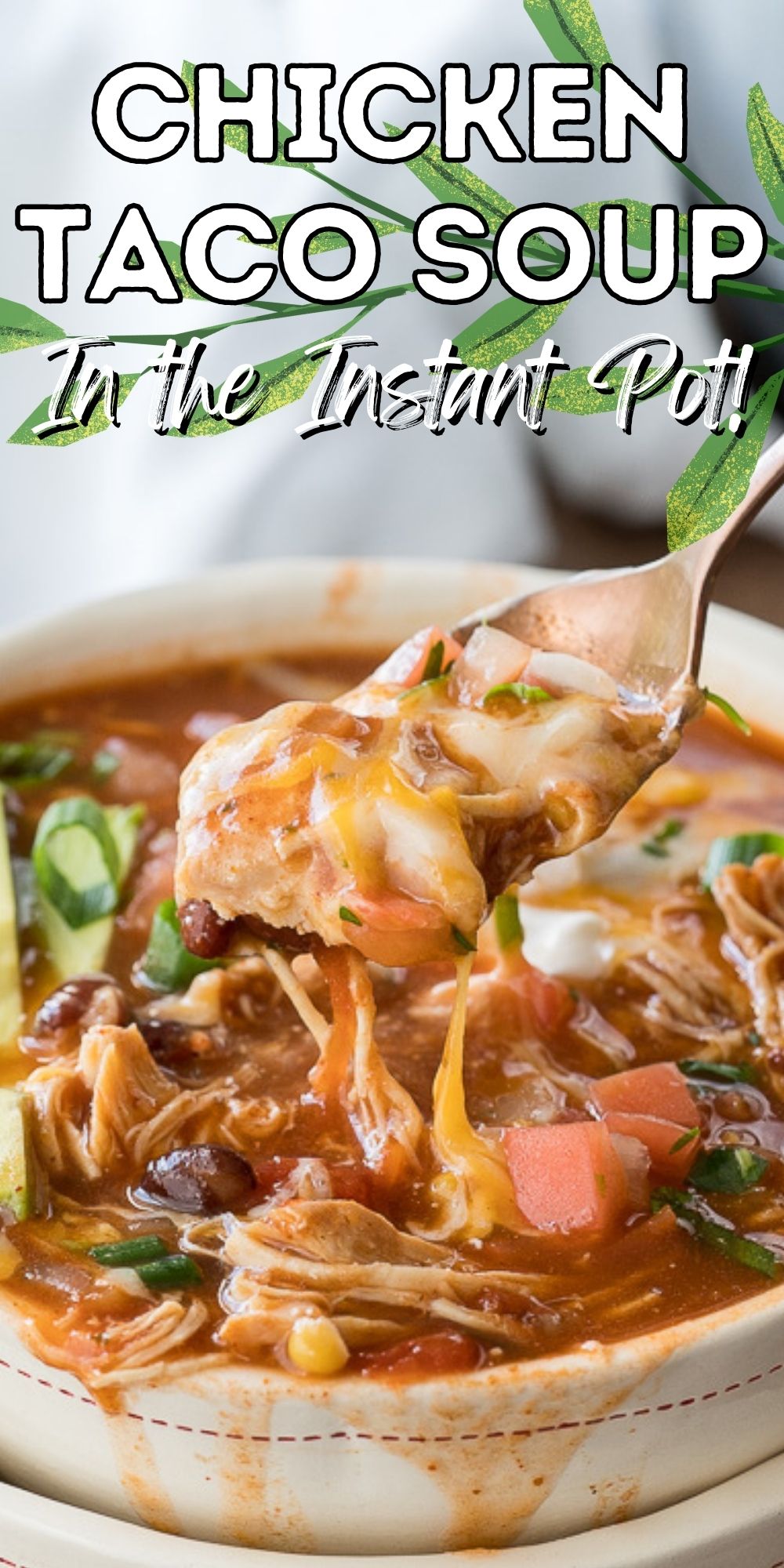 Instant Pot Chicken Taco Soup - I Wash You Dry