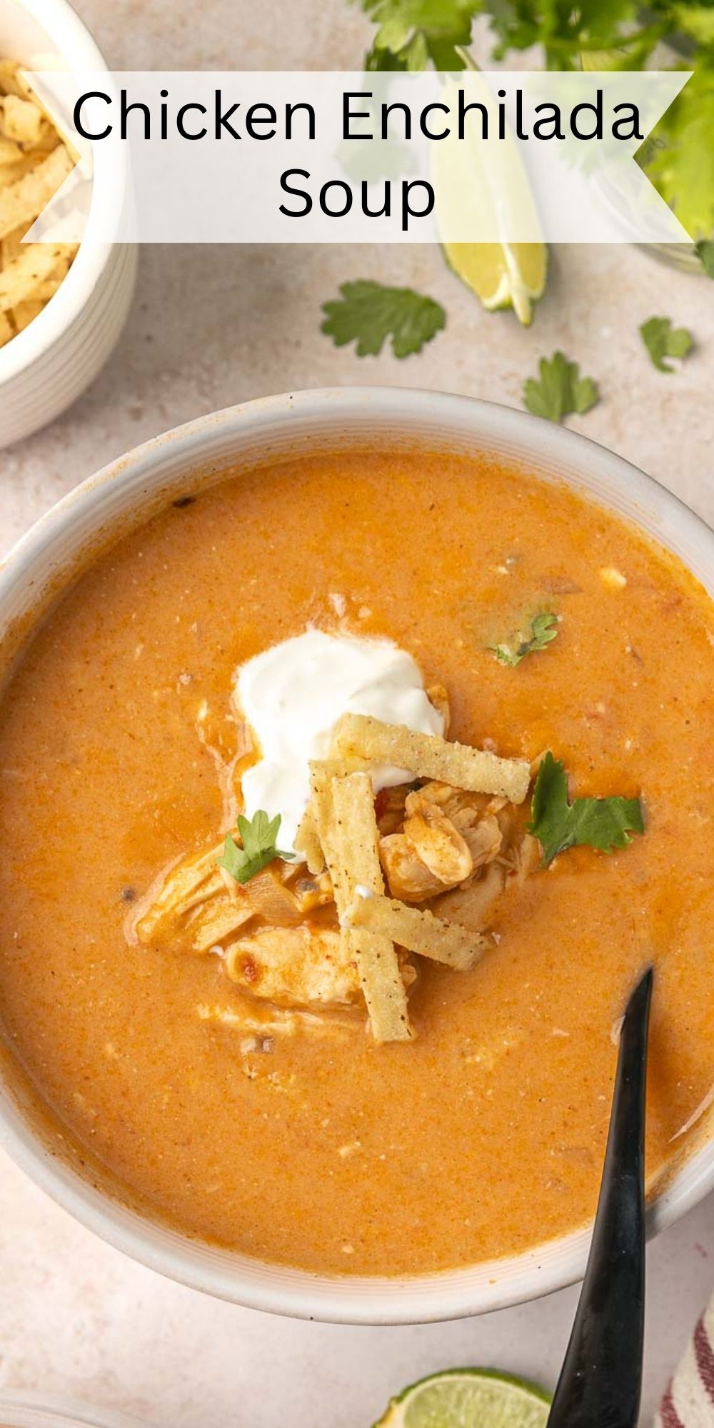Chicken Enchilada Soup - I Wash You Dry