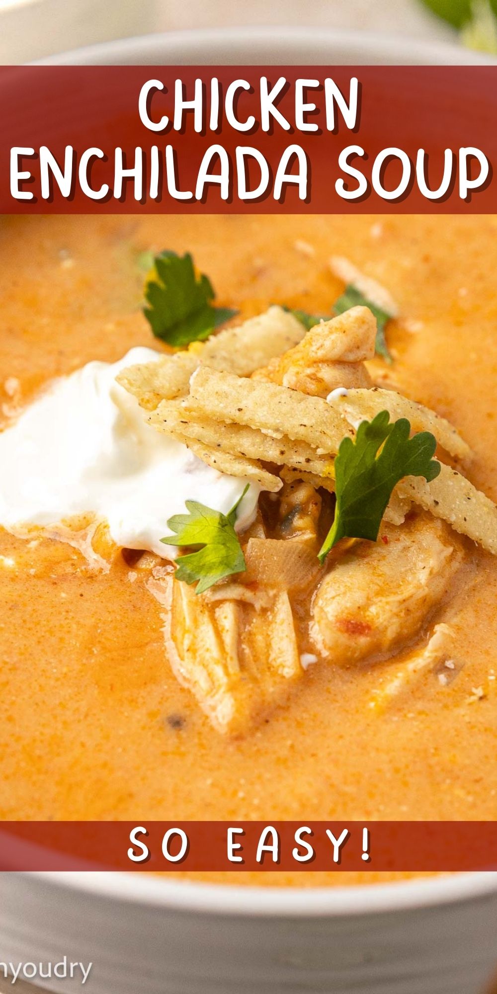 Chicken Enchilada Soup - I Wash You Dry