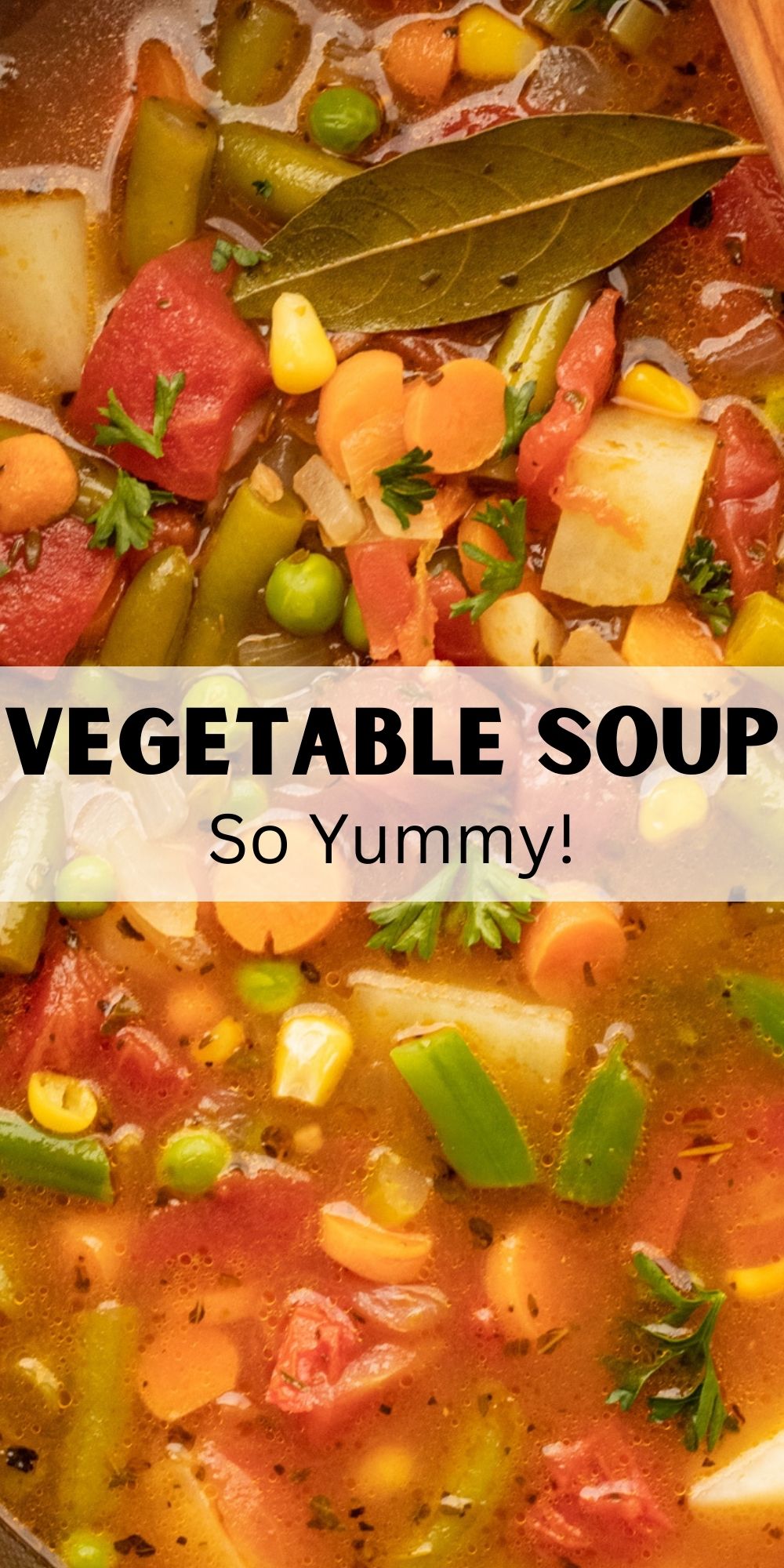Vegetable Soup Recipe - I Wash You Dry