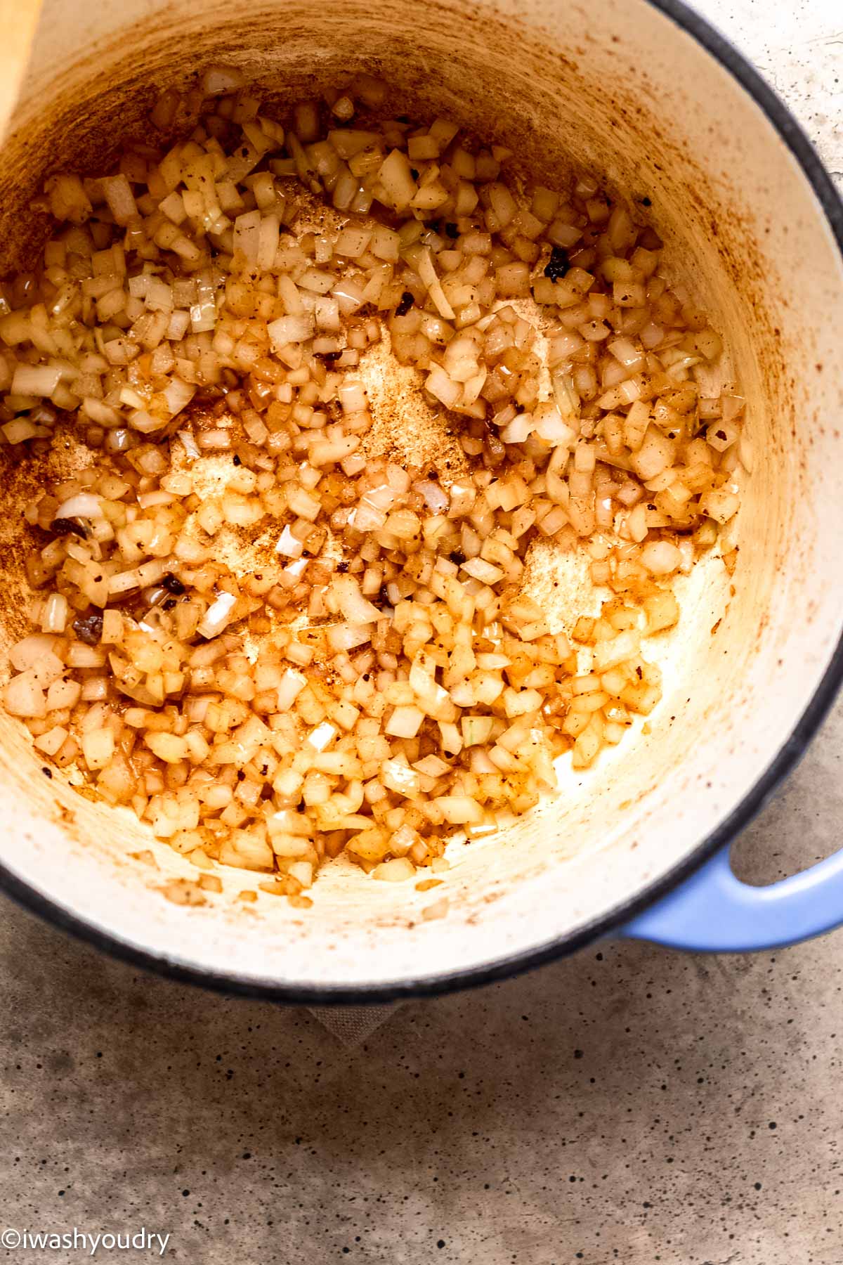 Curry Beef Stew - I Wash You Dry