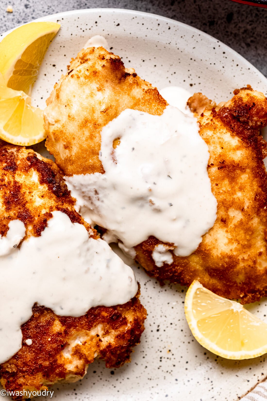 Cooked parmesan crusted chicken on white plate with lemon slices. 