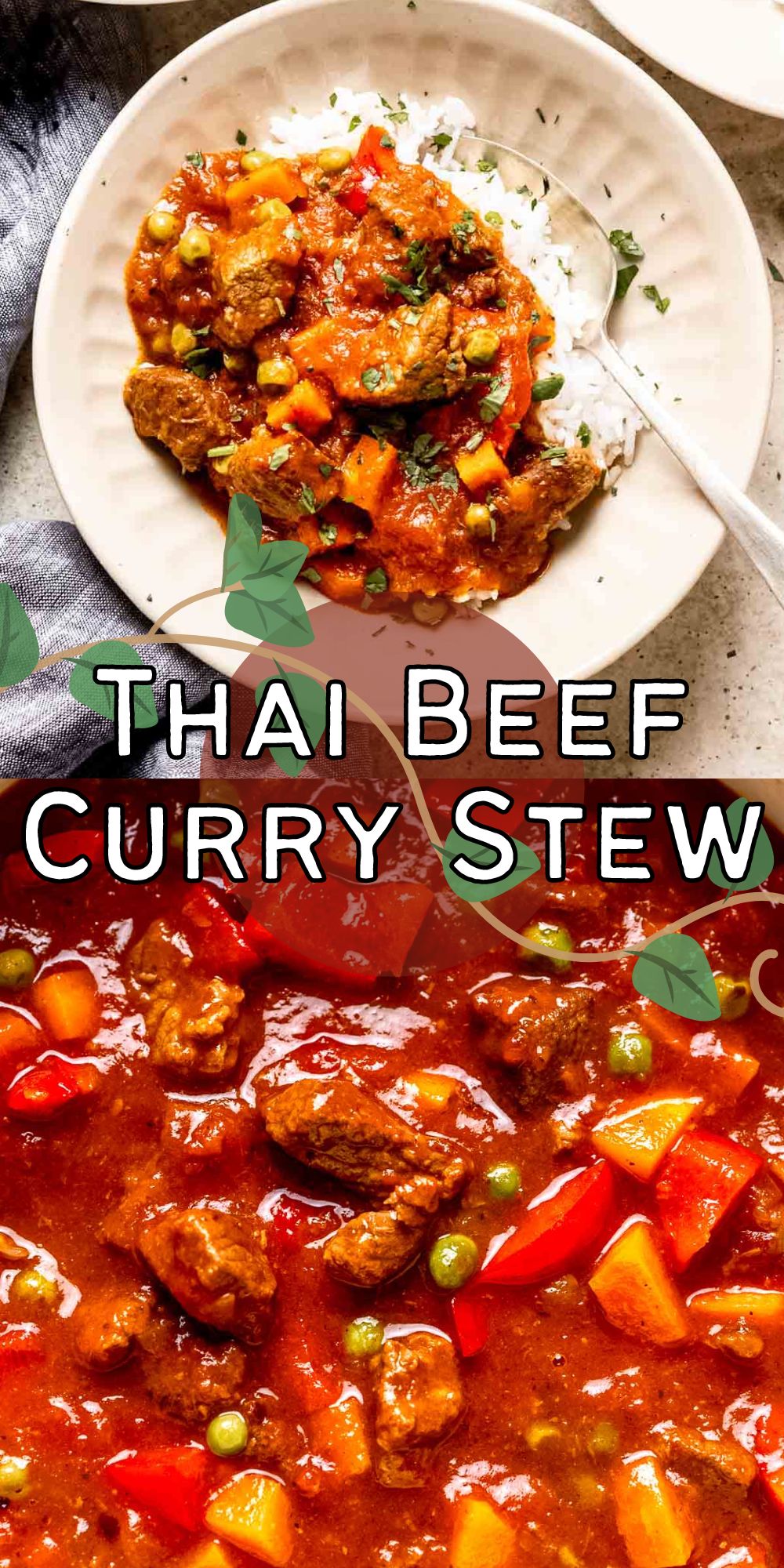 Curry Beef Stew I Wash You Dry