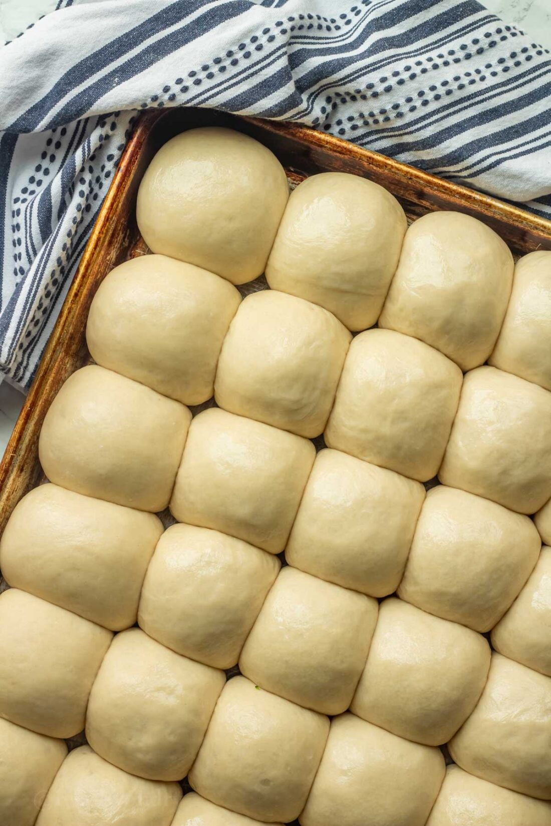 Risen raw rolls in rows on metal baking pan. 