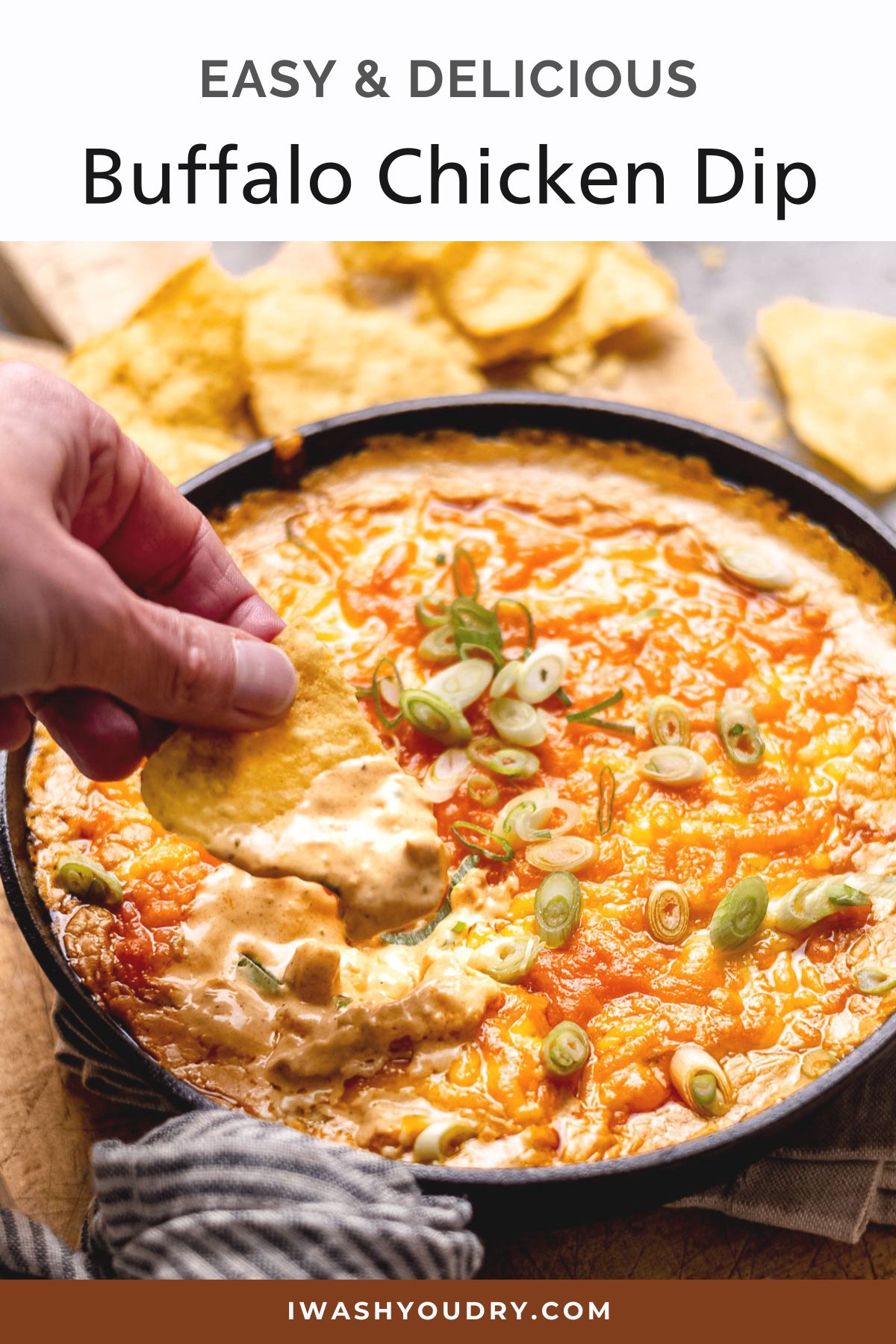 Buffalo Chicken Dip - I Wash You Dry