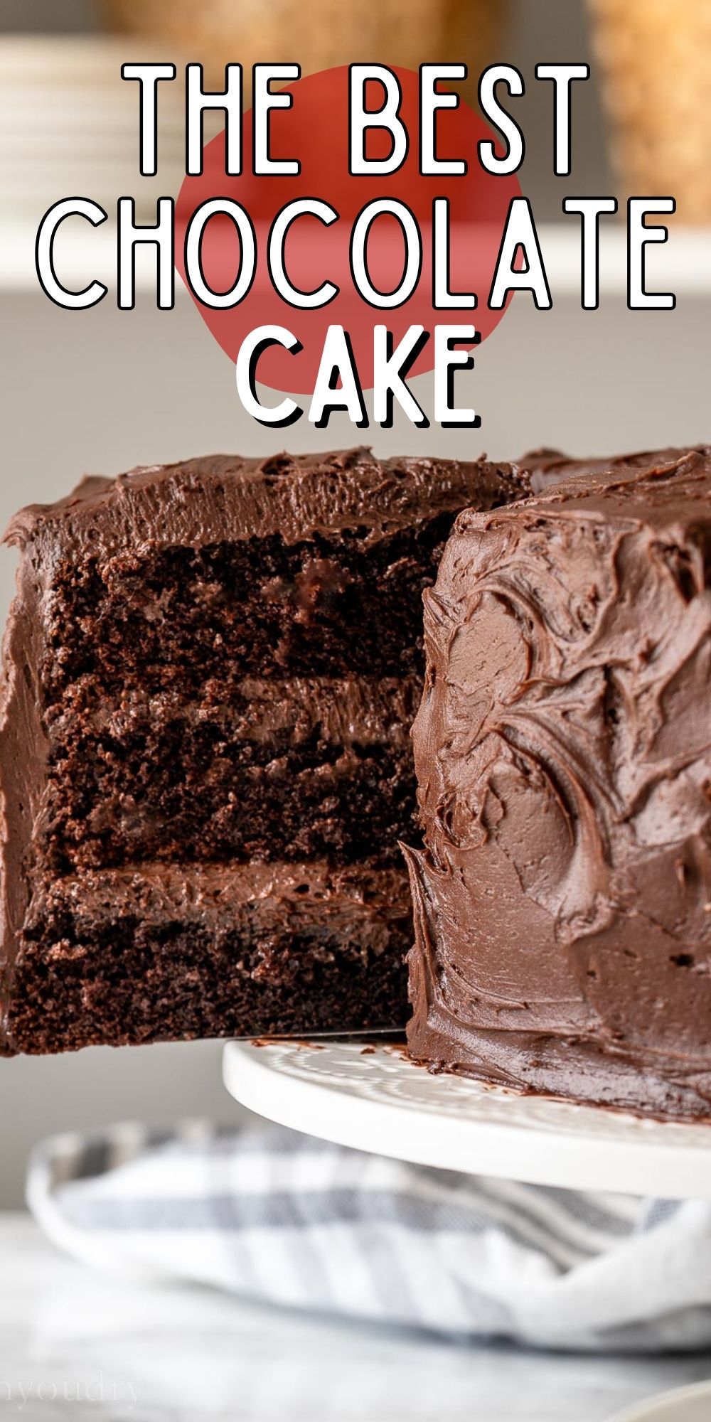 Best Chocolate Cake Recipe - I Wash You Dry