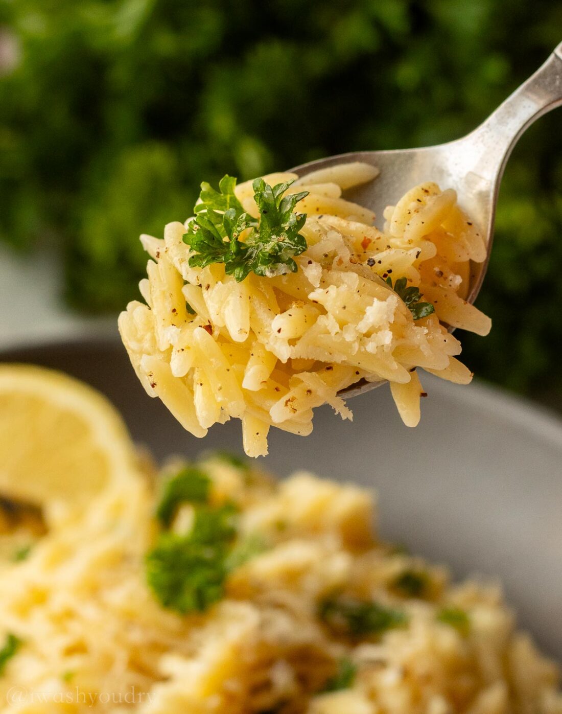 spoonful of orzo pasta with lemon and seasoning. 
