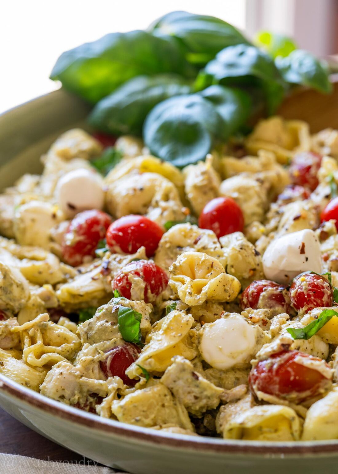 delicious pasta salad with tomatoes and tortellini.